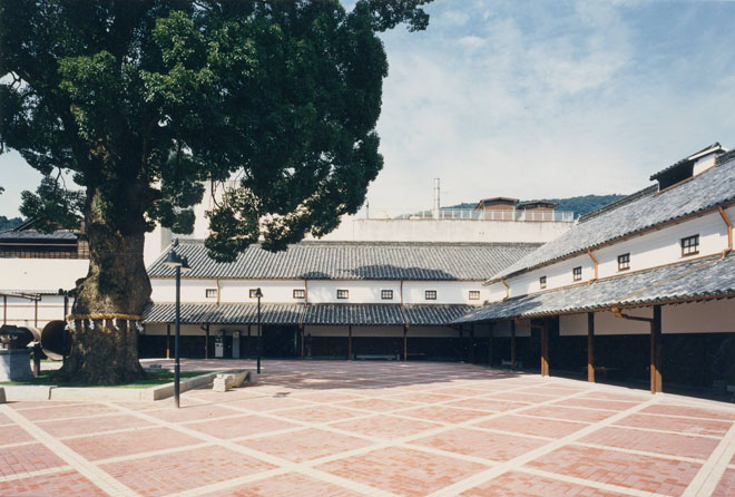 Camphor Tree Plaza