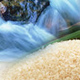 清酒金陵を生み出す水と米